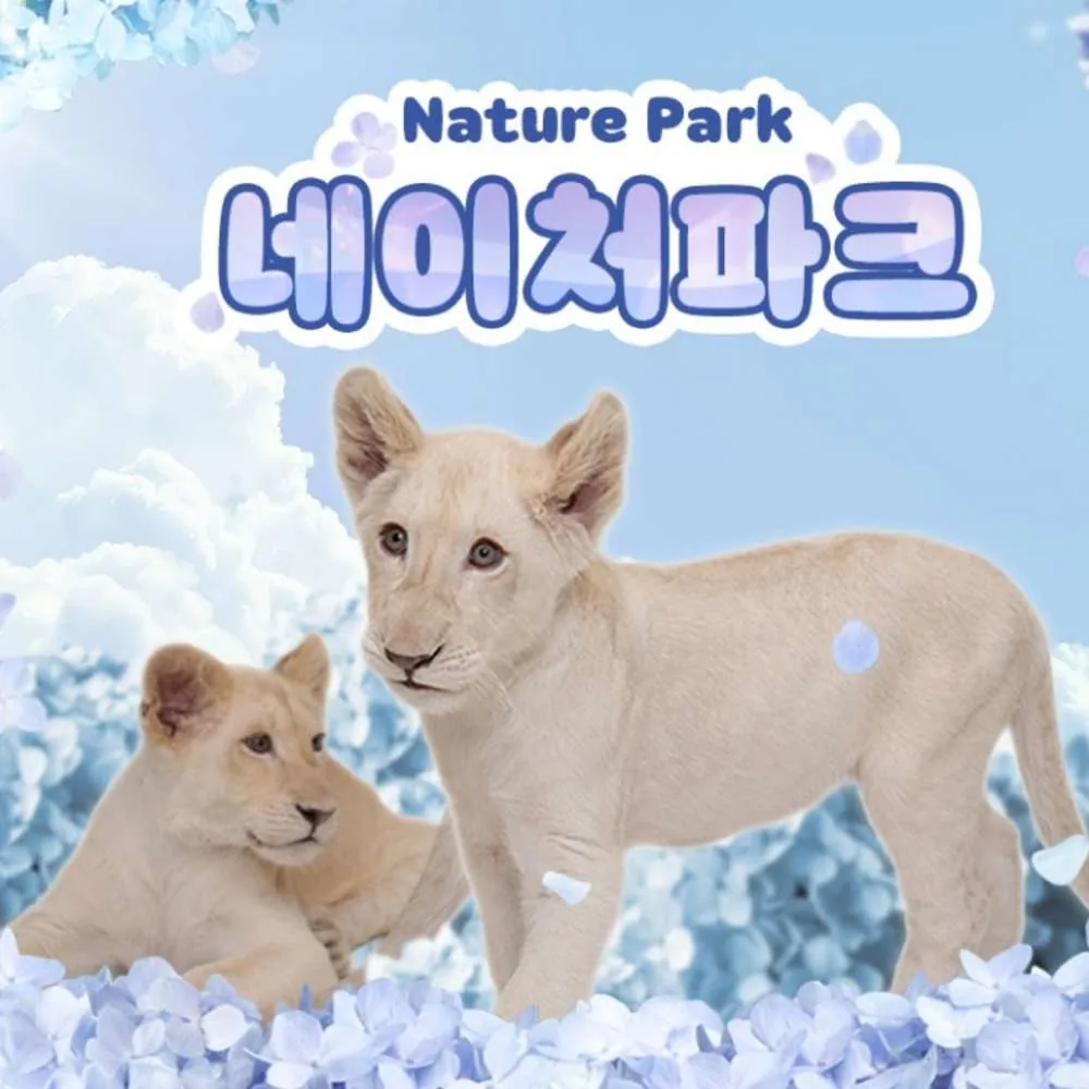 종일권 1인권 가격 추이 종일권 1인권 - 최저가 20,000원