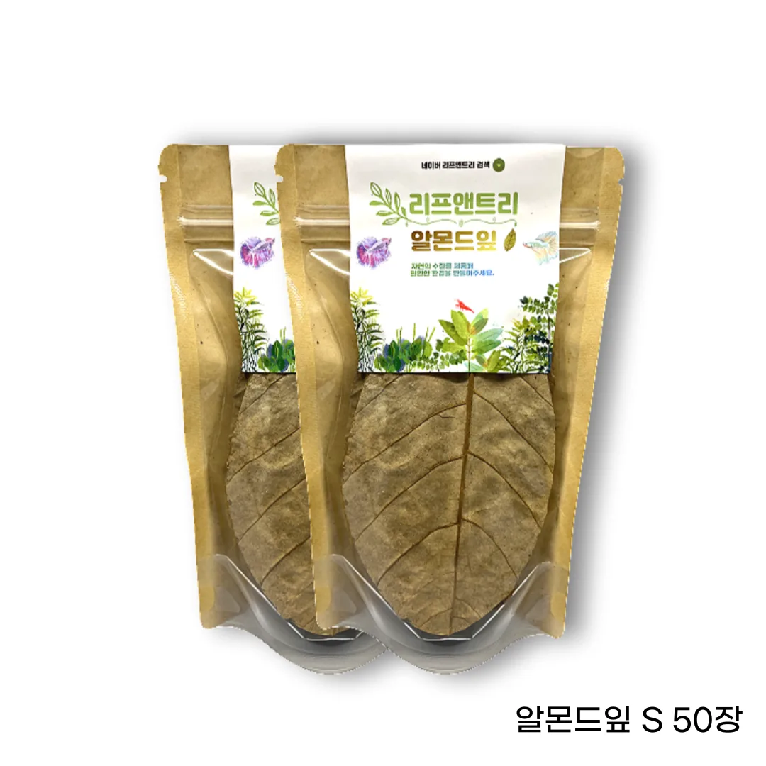 베타 알몬드잎 50장 가격 추이 베타 알몬드잎 50장 - 최저가 11,900원