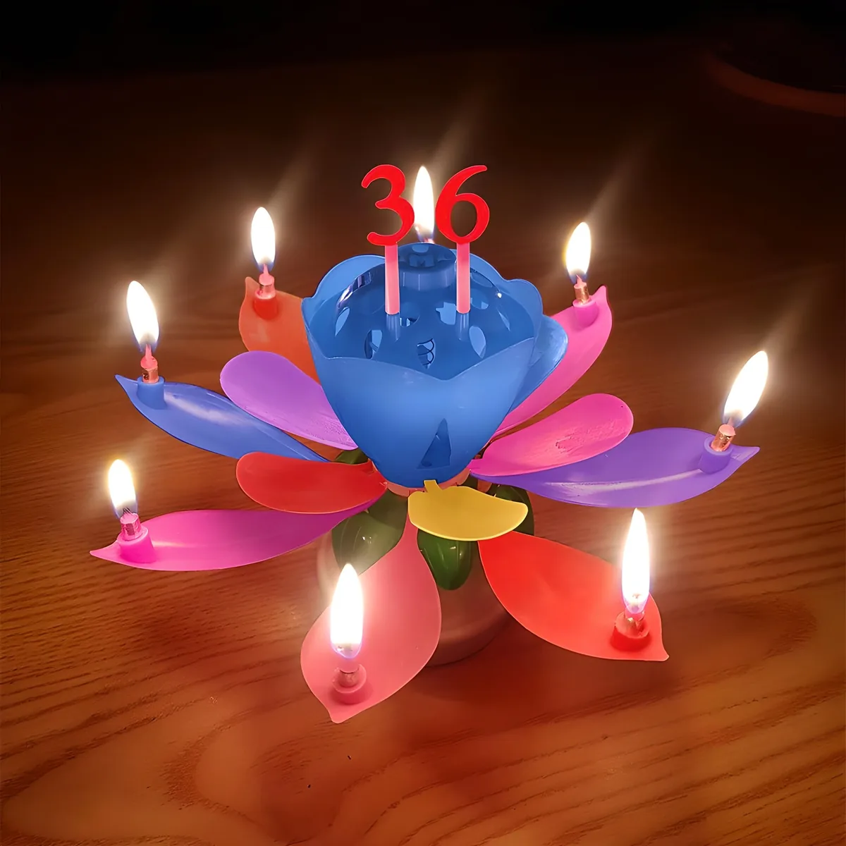 스토리빙 생일 축하 초 연꽃 멜로디 숫자 토퍼 19p 세트 가격 추이 스토리빙 생일 축하 초 연꽃 멜로디 숫자 토퍼 19p 세트 - 최저가 1,620원