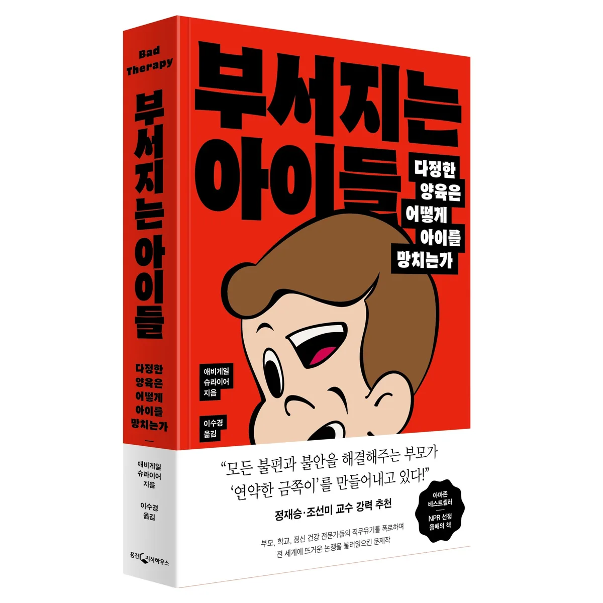 부서지는 아이들: 다정한 양육은 어떻게 아이를 망치는가 가격 추이 부서지는 아이들: 다정한 양육은 어떻게 아이를 망치는가 - 최저가 19,800원