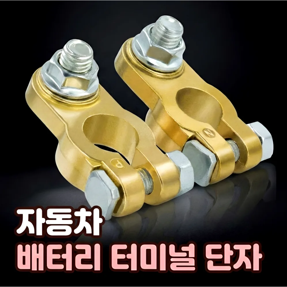 로니베이 자동차 배터리 터미널 단자 황동 음극(-) 양극(+) 가격 추이 로니베이 자동차 배터리 터미널 단자 황동 음극(-) 양극(+) - 최저가 9,800원