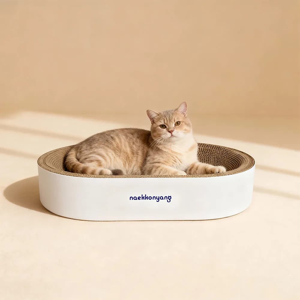 내꼬냥 고양이 타원형 오목한 보울형 양면 스크래쳐 화이트 가격 추이 내꼬냥 고양이 타원형 오목한 보울형 양면 스크래쳐 화이트 - 최저가 15,980원