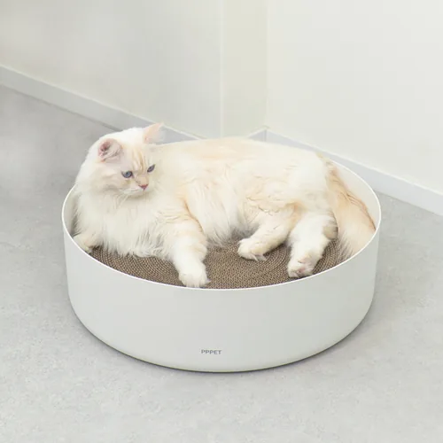펫펫펫 고양이 스크래쳐 원형, 1개 가격 추이 펫펫펫 고양이 스크래쳐 원형, 1개 - 최저가 38,400원