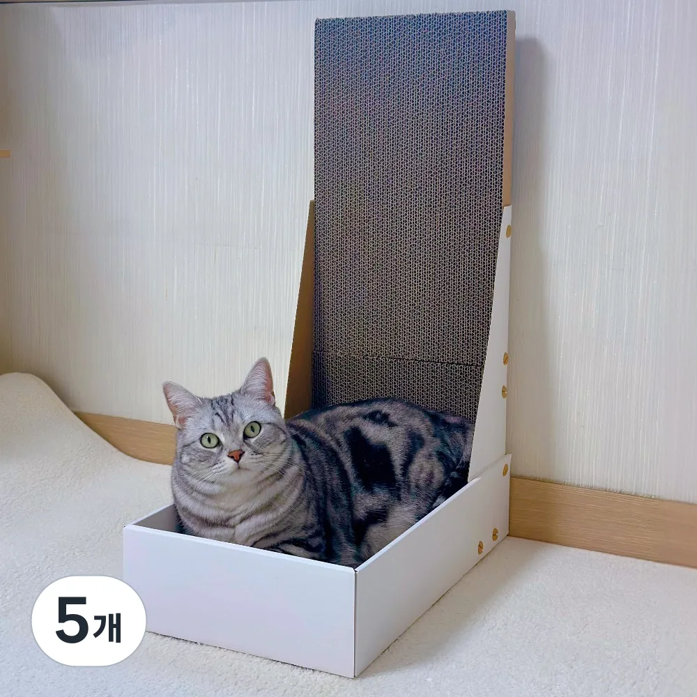 MAAH 고양이 수직 박스 스크래쳐 화이트 5개 가격 추이 MAAH 고양이 수직 박스 스크래쳐 화이트 5개 - 최저가 13,900원