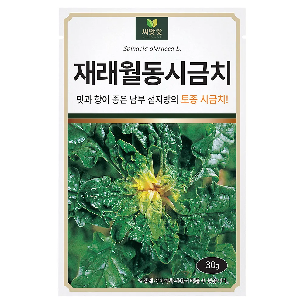 다농 재래월동 시금치 씨앗 30g 가격 추이 다농 재래월동 시금치 씨앗 30g - 최저가 3,500원