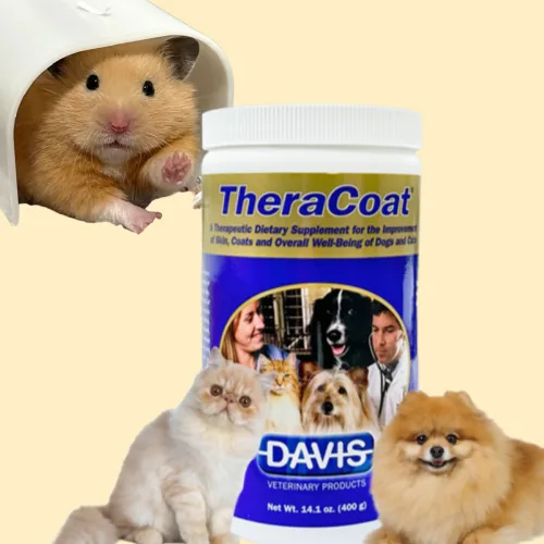 미국산 성분 햄스터 고양이 강아지 털 영양제 데이비스 테라코트 가격 추이 미국산 성분 햄스터 고양이 강아지 털 영양제 데이비스 테라코트 - 최저가 4,560원