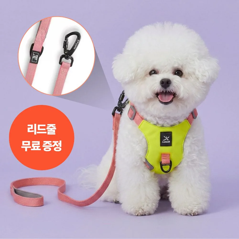 닥터메디펫 강아지 초경량 하네스 리드줄 세트 가격 추이 닥터메디펫 강아지 초경량 하네스 리드줄 세트 - 최저가 19,710원