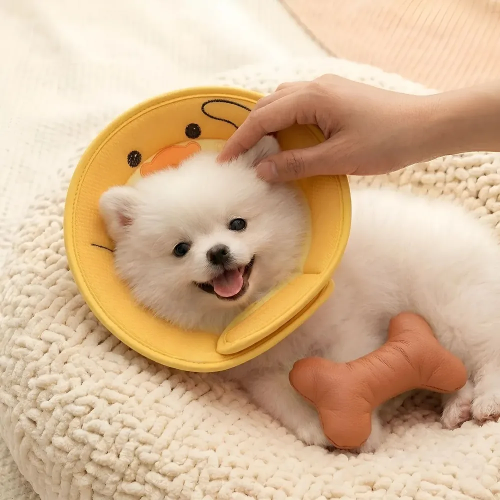 애져요 통기성 강아지 고양이 공용 넥카라 수술 회복 가격 추이 애져요 통기성 강아지 고양이 공용 넥카라 수술 회복 - 최저가 11,900원