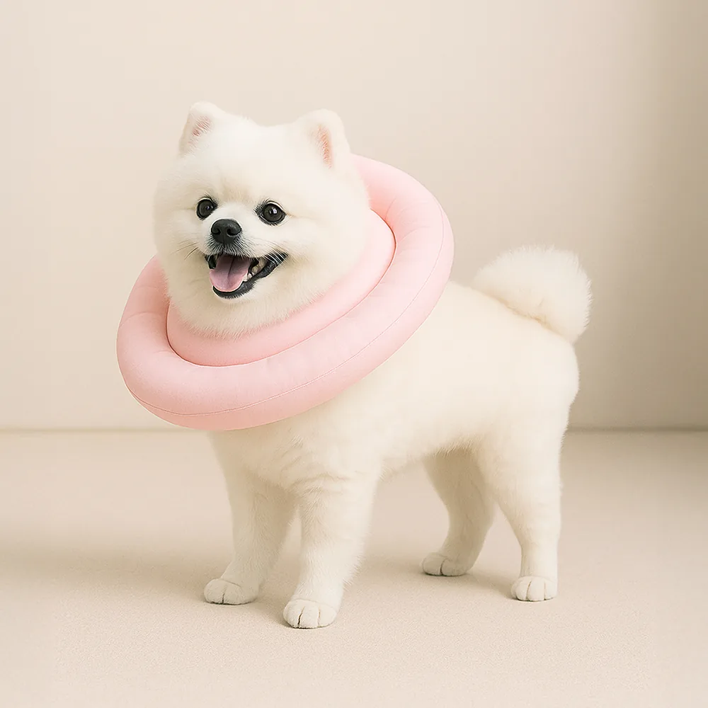 레토 강아지 고양이 넥카라 방수 초경량 가격 추이 레토 강아지 고양이 넥카라 방수 초경량 - 최저가 7,800원
