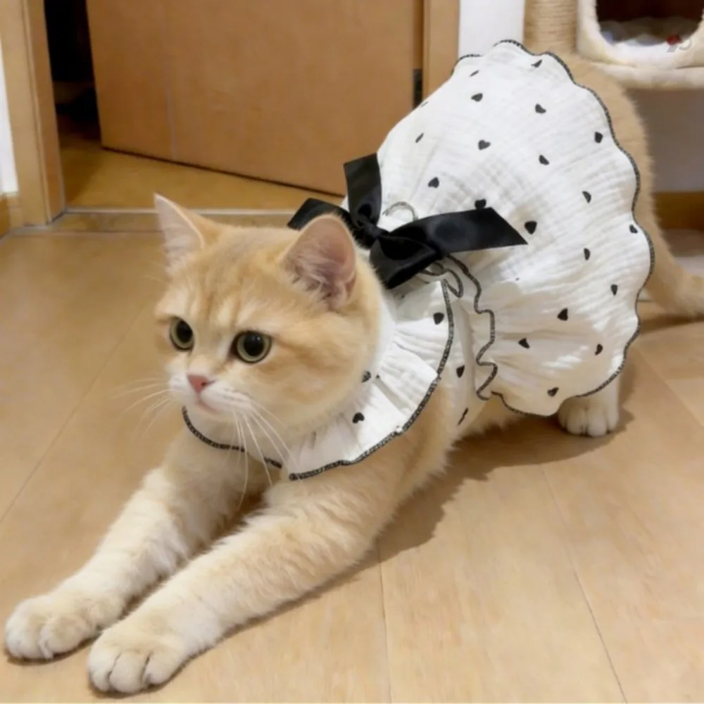 DANNYZEE 강아지 원피스 하네스 옷 가격 추이 DANNYZEE 강아지 원피스 하네스 옷 - 최저가 3,500원