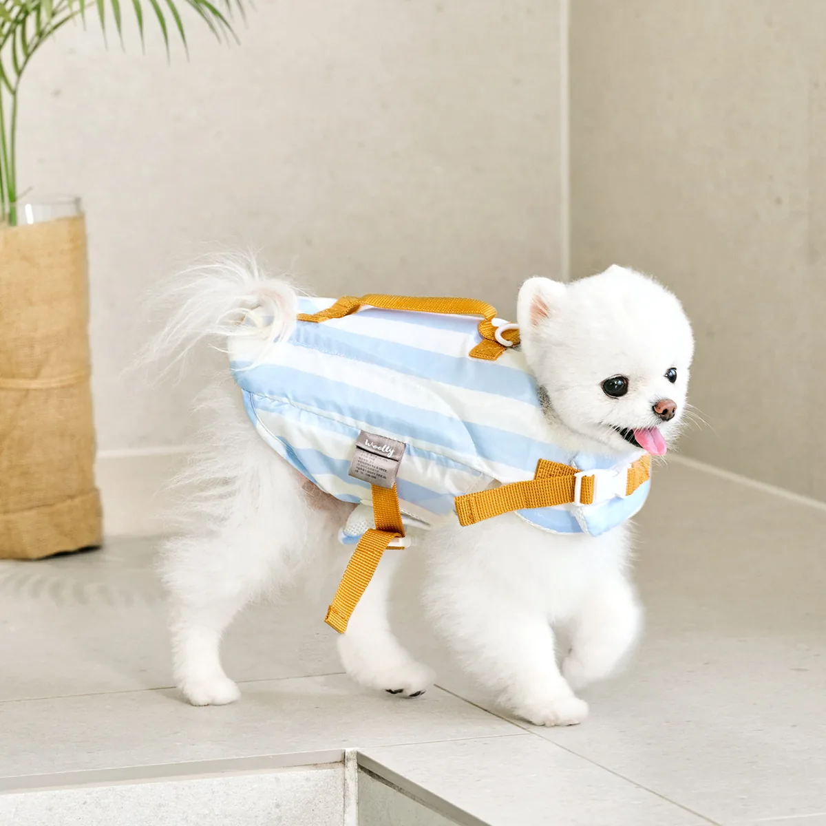 울리 강아지 우리 댕댕이 구명조끼 가격 추이 울리 강아지 우리 댕댕이 구명조끼 - 최저가 7,830원