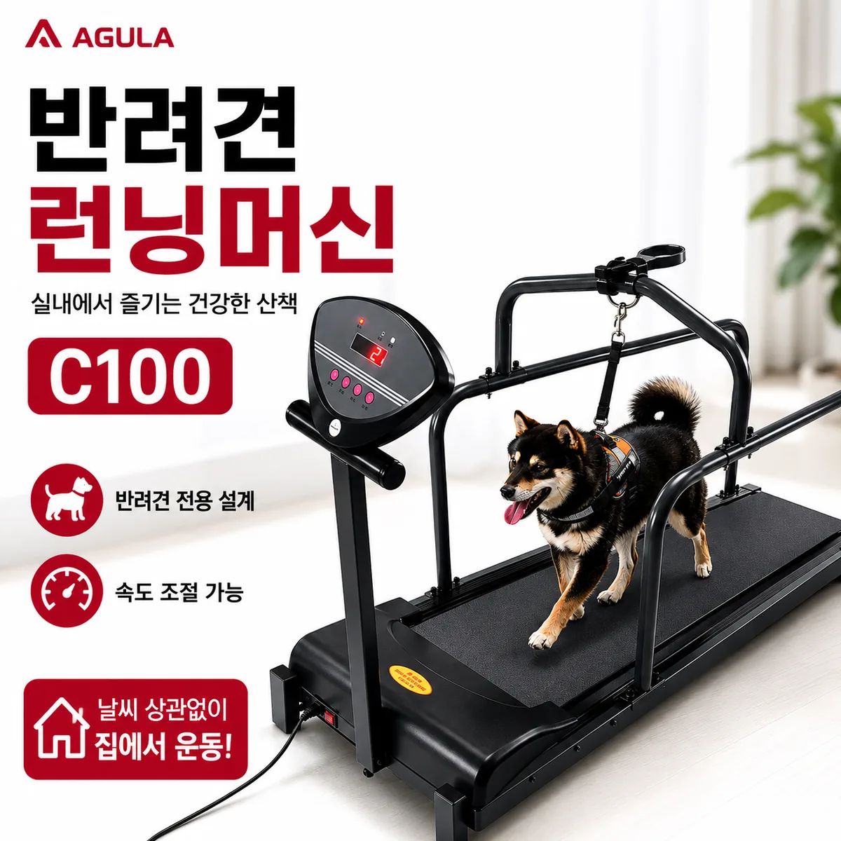 아굴라 반려견 런닝머신 C100 가격 추이 아굴라 반려견 런닝머신 C100 - 최저가 389,000원