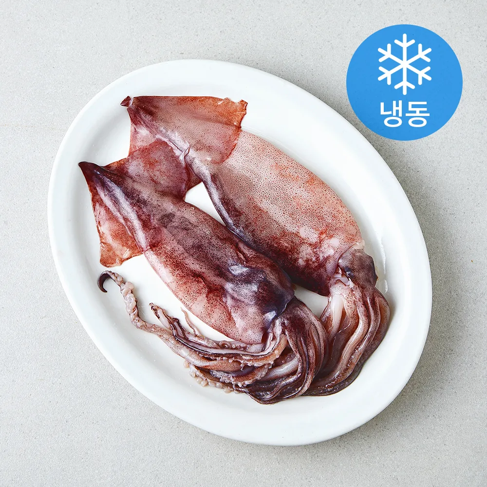 국내산 손질 통 오징어 (냉동) 가격 추이 국내산 손질 통 오징어 (냉동) - 최저가 7,840원