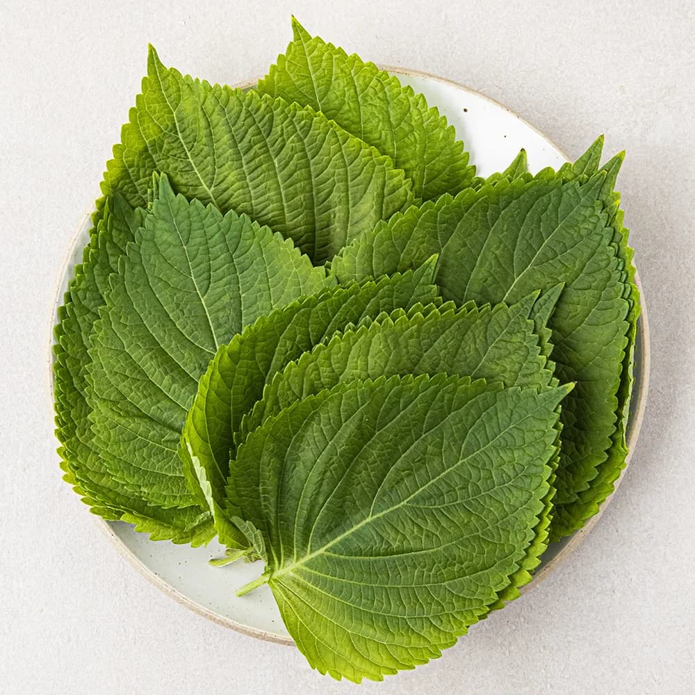 국내산 깻잎 가격 추이 국내산 깻잎 - 최저가 1,460원