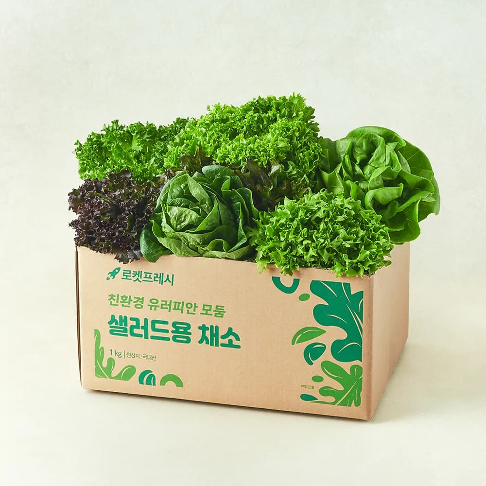 친환경 유러피안 모둠 샐러드용 채소 가격 추이 친환경 유러피안 모둠 샐러드용 채소 - 최저가 5,080원