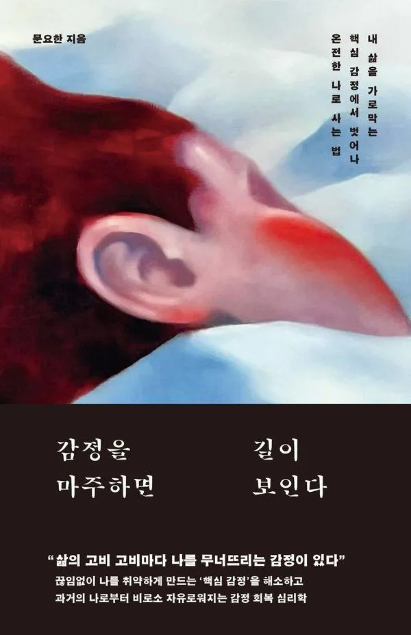 감정을 마주하면 길이 보인다: 내 삶을 가로막는 핵심 감정에서 벗어나 온전한 나로 사는 법 가격 추이 감정을 마주하면 길이 보인다: 내 삶을 가로막는 핵심 감정에서 벗어나 온전한 나로 사는 법 - 최저가 18,000원
