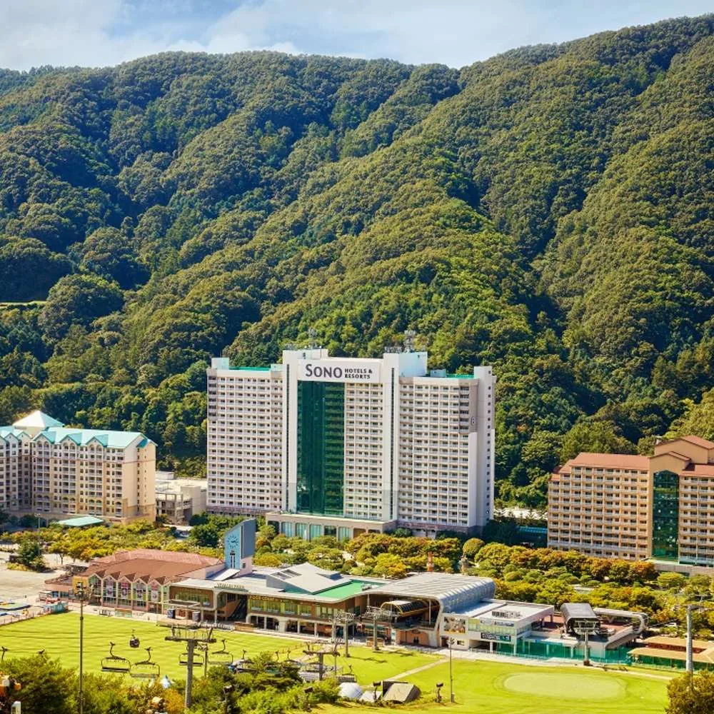 패밀리 B동 취사 스탠다드 침대 가격 추이 패밀리 B동 취사 스탠다드 침대 - 최저가 194,000원