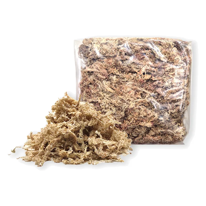가든잇 깨끗한 수태 이끼 75g 가격 추이 가든잇 깨끗한 수태 이끼 75g - 최저가 5,270원