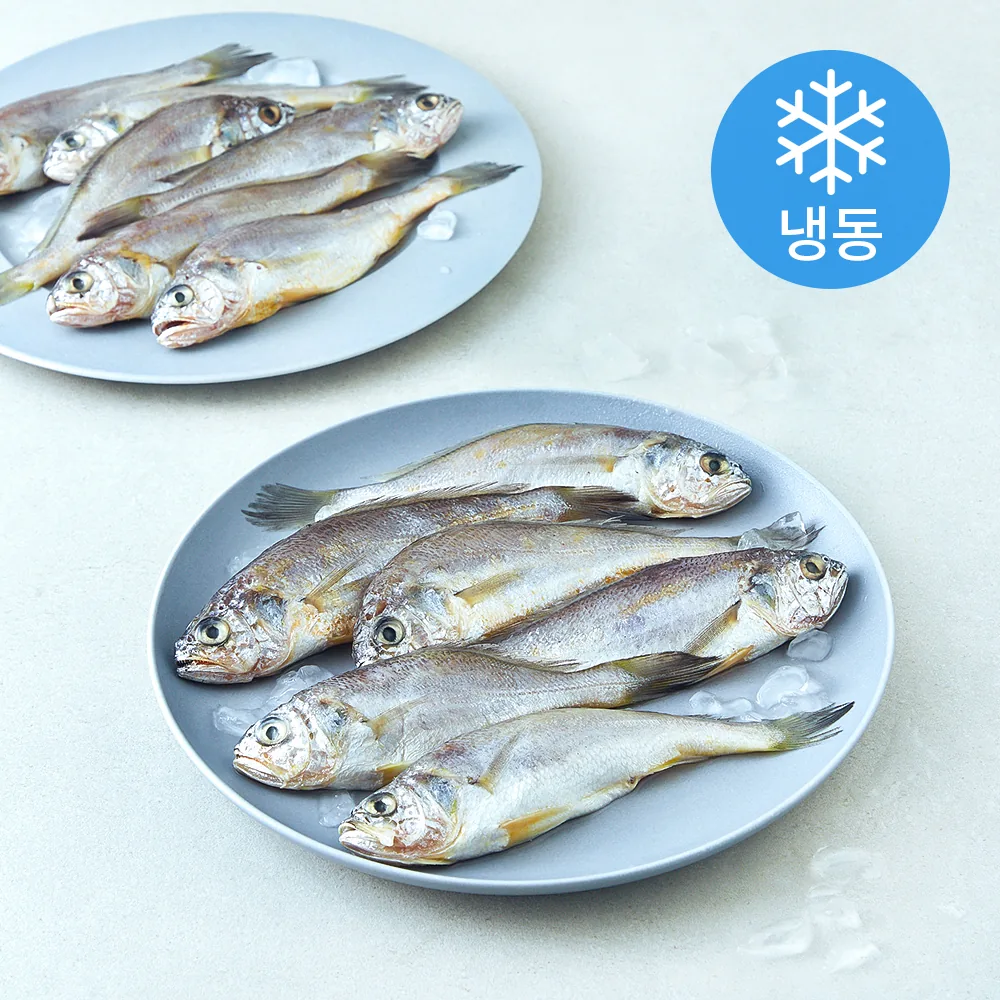 영광 법성포 굴비 20미 (냉동) 가격 추이 영광 법성포 굴비 20미 (냉동) - 최저가 19,900원