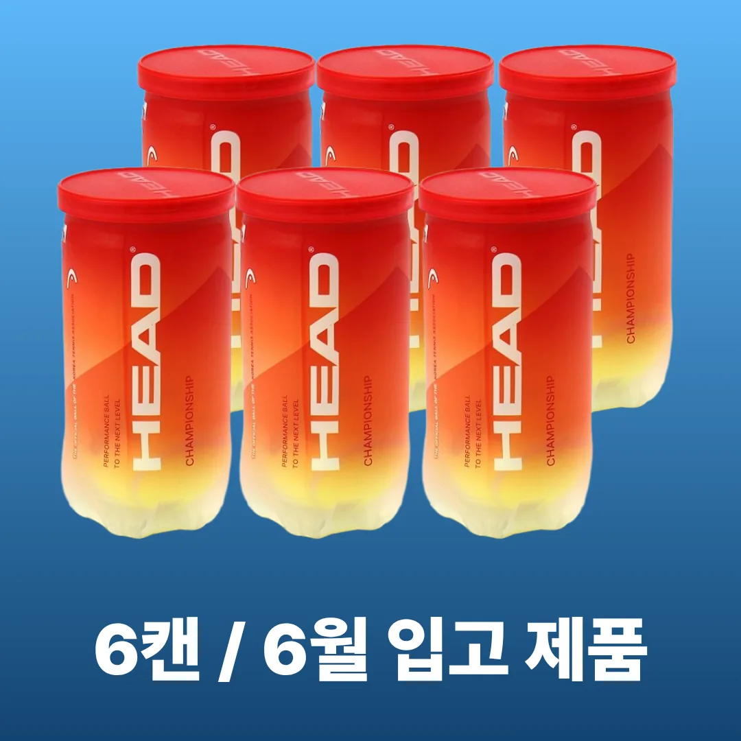 헤드 테니스공 챔피온쉽 캔볼 시합구 가격 추이 헤드 테니스공 챔피온쉽 캔볼 시합구 - 최저가 20,800원