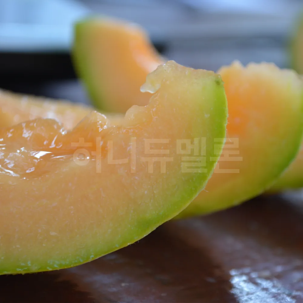 허니듀멜론 꿀맛나는 특대과 제철 과일 가격 추이 허니듀멜론 꿀맛나는 특대과 제철 과일 - 최저가 16,700원