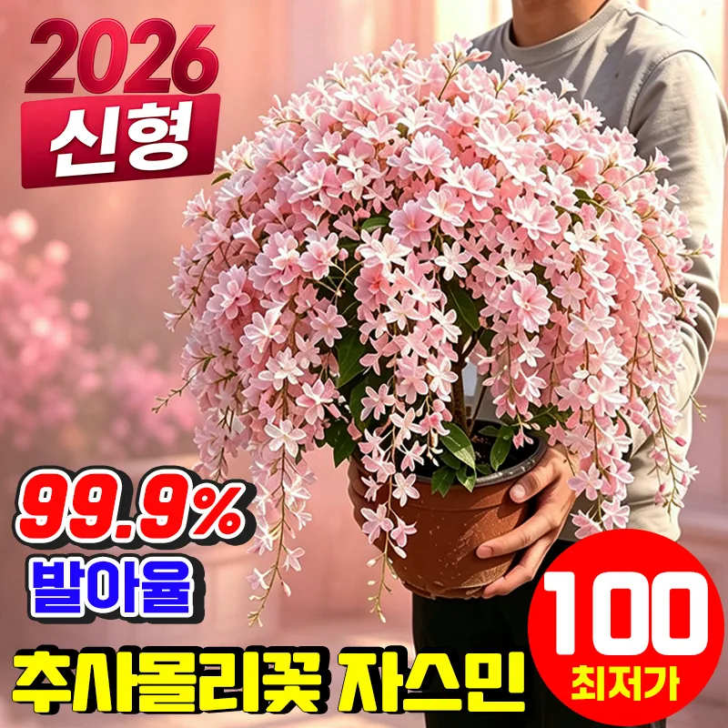 태국 수입 재스민 씨앗 3배 진한 천연 꽃향기 사계절 개화 가격 추이 태국 수입 재스민 씨앗 3배 진한 천연 꽃향기 사계절 개화 - 최저가 10,900원