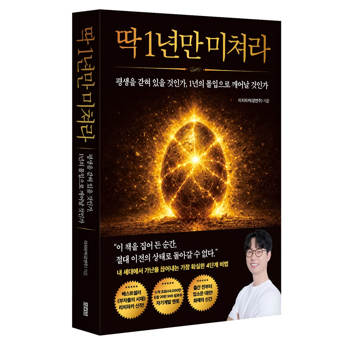 딱 1년만 미쳐라 가격 추이 딱 1년만 미쳐라 - 최저가 17,820원