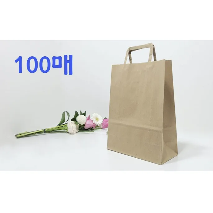 크라프트 쇼핑백 무지 종이가방 100매 가격 추이 크라프트 쇼핑백 무지 종이가방 100매 - 최저가 10,390원