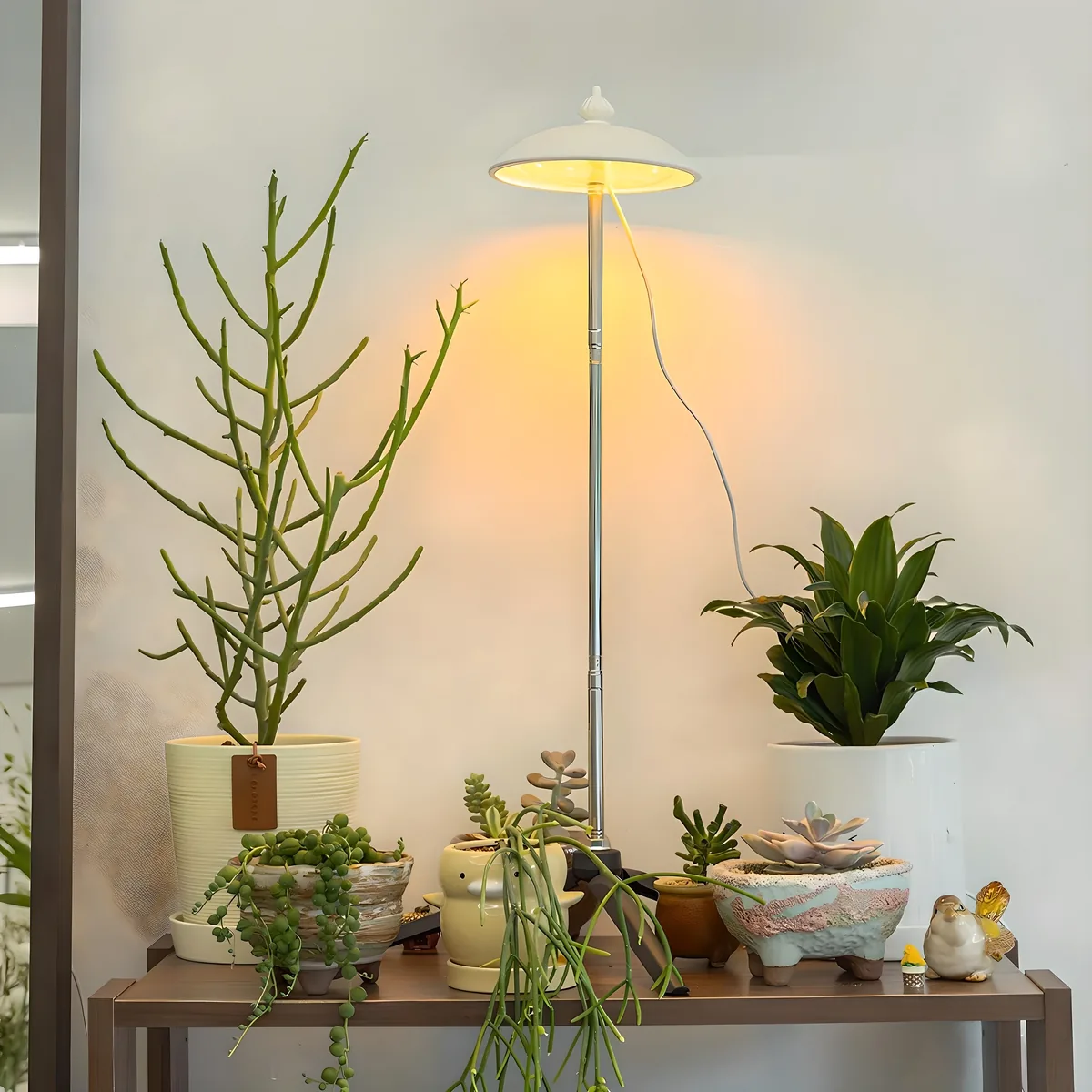 루아즈 LED 우산 식물 생장등 가격 추이 루아즈 LED 우산 식물 생장등 - 최저가 11,350원