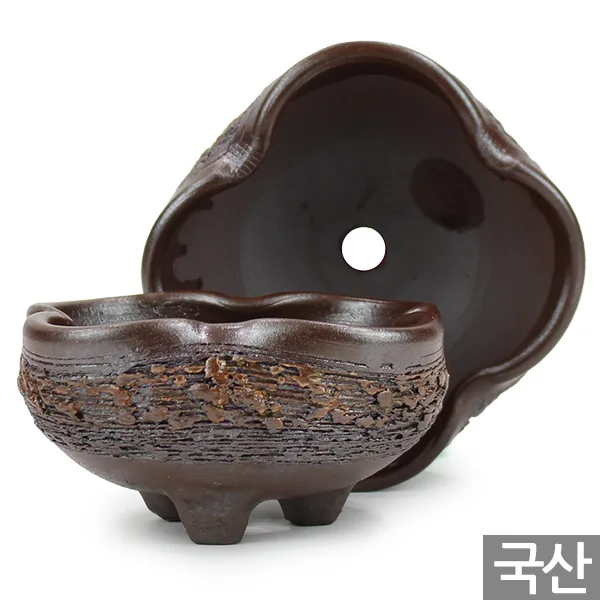 세인화분 국산 행운 네잎 클로버 옹기 화분 중형 가격 추이 세인화분 국산 행운 네잎 클로버 옹기 화분 중형 - 최저가 9,980원