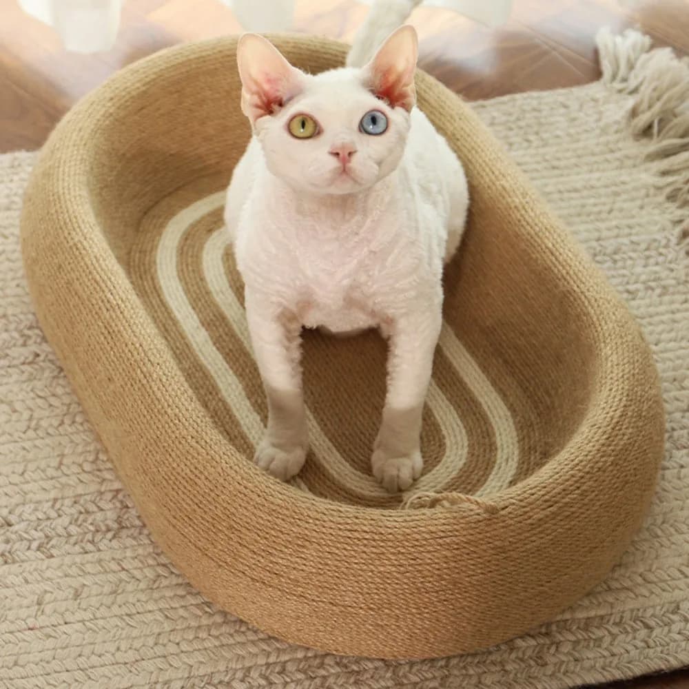 MEOW 고양이스크래쳐 사이잘삼 움푹원형 가격 추이 MEOW 고양이스크래쳐 사이잘삼 움푹원형 - 최저가 17,770원