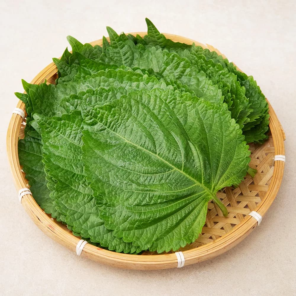 밀양 깻잎 가격 추이 밀양 깻잎 - 최저가 1,980원
