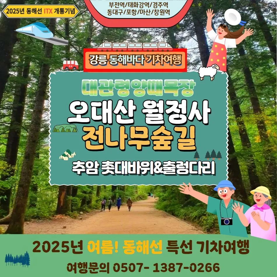 동해당일기차여행-오대산월정사와 대관령양떼목장,삼척촛대바위 가격 추이 동해당일기차여행-오대산월정사와 대관령양떼목장,삼척촛대바위 - 최저가 155,000원