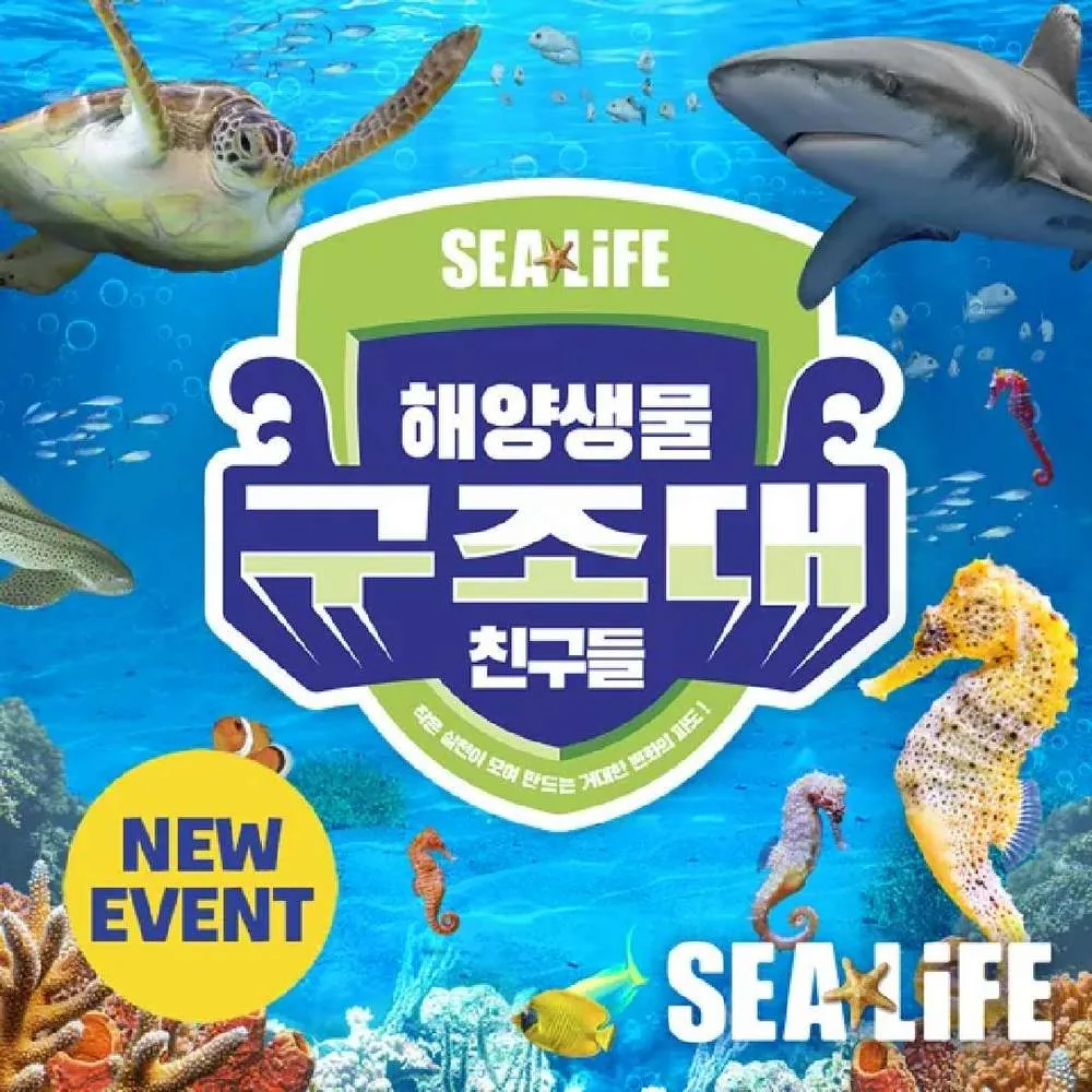 B3. 1인 입장권 가격 추이 B3. 1인 입장권 - 최저가 21,000원