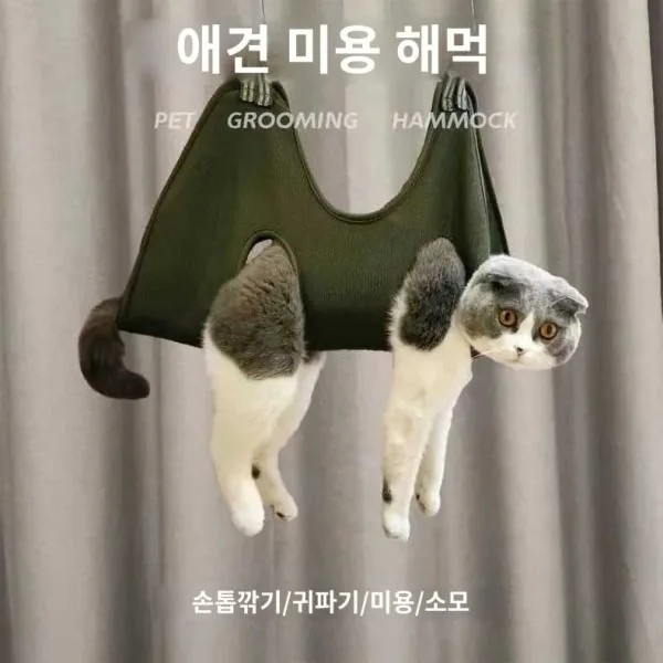 애견 고정 패드 손질 고양이 손톱 강아지 발톱깍이 반려동물 가격 추이 애견 고정 패드 손질 고양이 손톱 강아지 발톱깍이 반려동물 - 최저가 18,400원