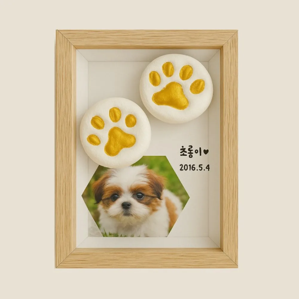 반려동물 발도장 DIY 세트 물감 3종 강아지 고양이 핸드프린팅 가격 추이 반려동물 발도장 DIY 세트 물감 3종 강아지 고양이 핸드프린팅 - 최저가 13,550원