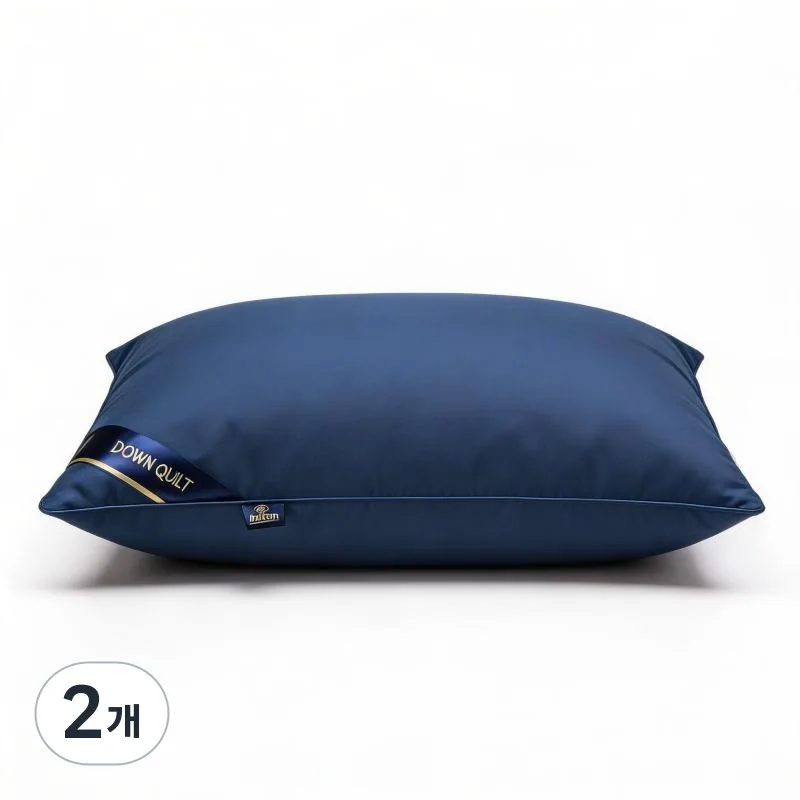 베개 2개 비스듬한 라벨 블루 가격 추이 베개 2개 비스듬한 라벨 블루 - 최저가 15,670원