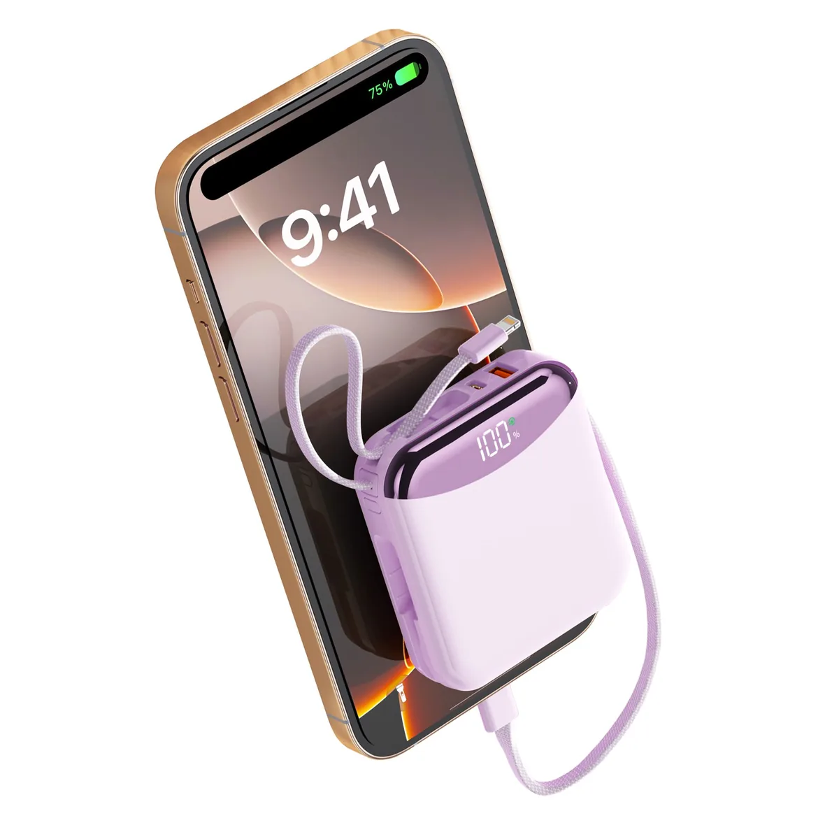 PIUJJA QC3.0 PD 22.5W 일체형 C타입 고속충전 보조배터리 10000mAh 가격 추이 PIUJJA QC3.0 PD 22.5W 일체형 C타입 고속충전 보조배터리 10000mAh - 최저가 18,900원