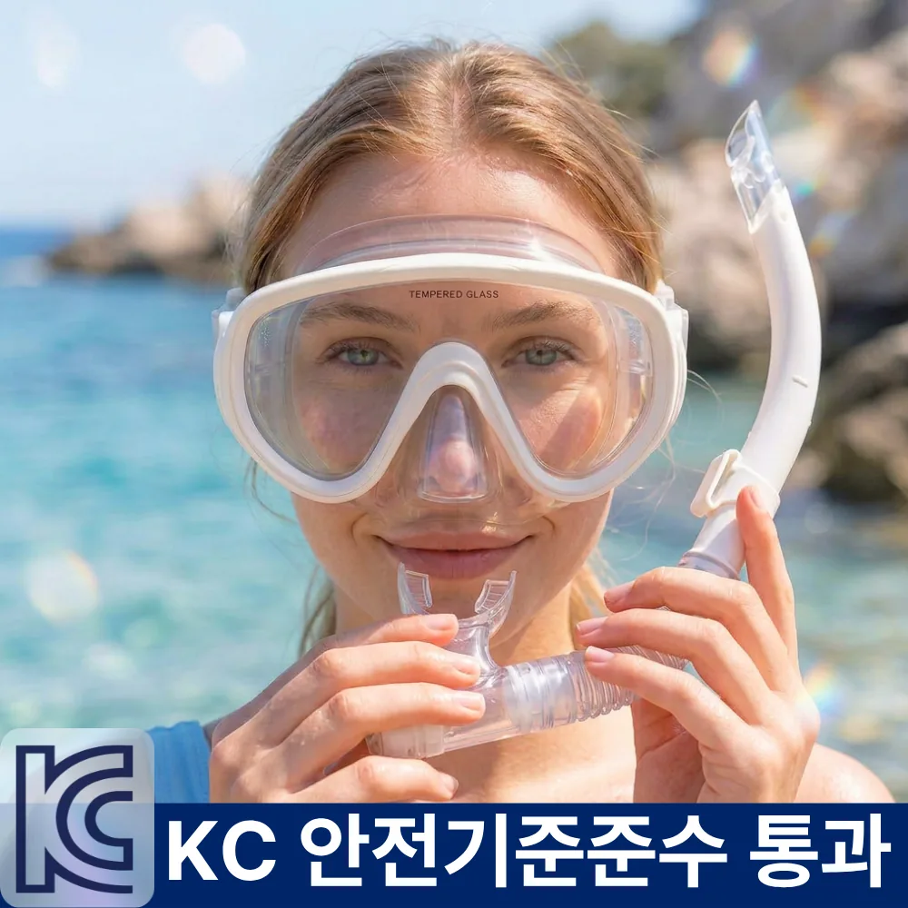 플리터스 스노쿨링 마스크 세트 가격 추이 플리터스 스노쿨링 마스크 세트 - 최저가 13,020원