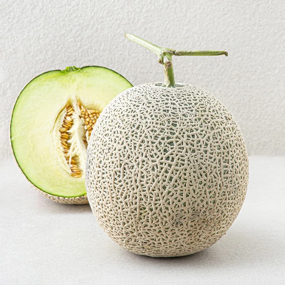 곰곰 국내산 당도선별 멜론 가격 추이 곰곰 국내산 당도선별 멜론 - 최저가 8,900원