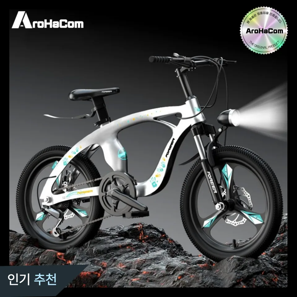 AROHACOM MTB 팻바이크 22인치 청소년 산악 주니어 학생용 시마노 18인치 브라이트 실버 스포크휠 싱글 가격 추이 AROHACOM MTB 팻바이크 22인치 청소년 산악 주니어 학생용 시마노 18인치 브라이트 실버 스포크휠 싱글 - 최저가 227,000원