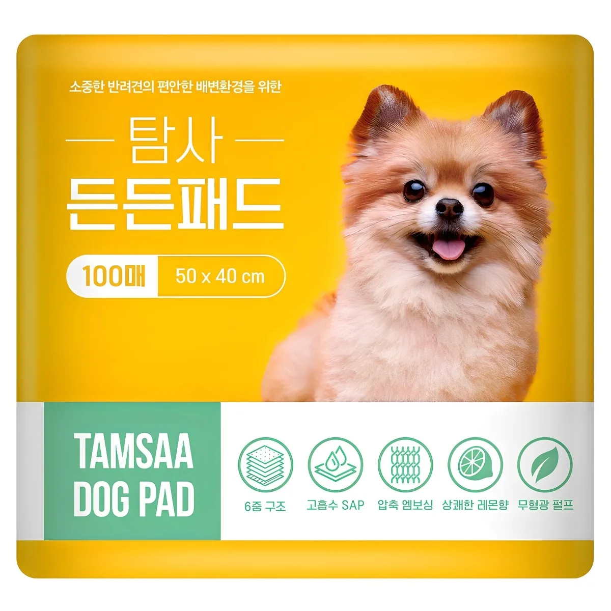 탐사 고흡수 든든패드 레몬향 가격 추이 탐사 고흡수 든든패드 레몬향 - 최저가 10,790원