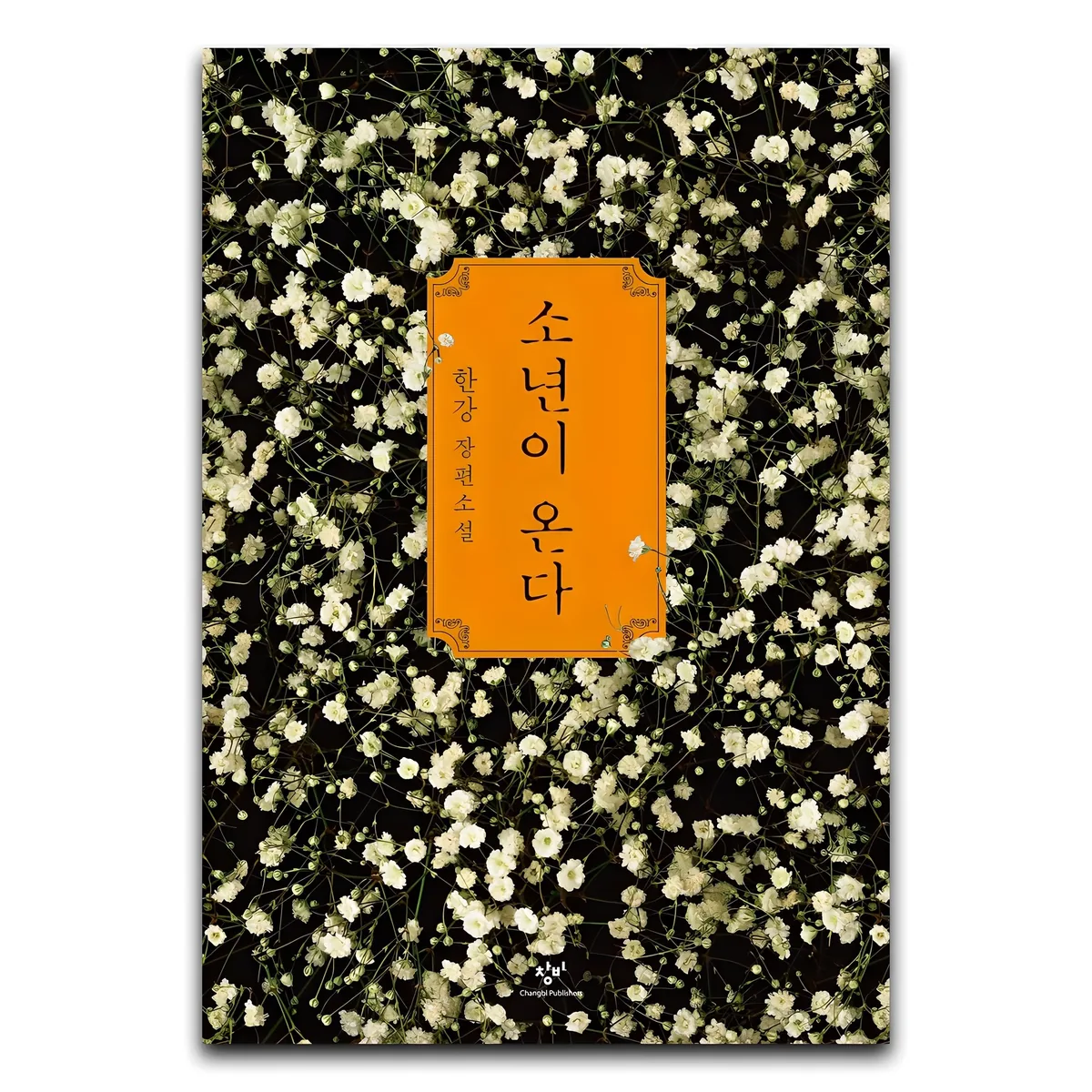 소년이 온다 가격 추이 소년이 온다 - 최저가 13,500원
