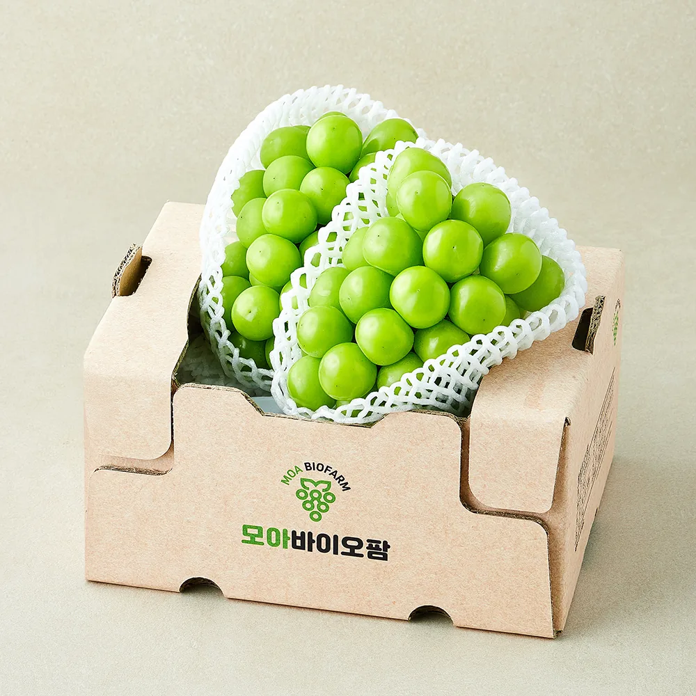 모아바이오팜 당도선별 샤인머스캣 가격 추이 모아바이오팜 당도선별 샤인머스캣 - 최저가 4,500원