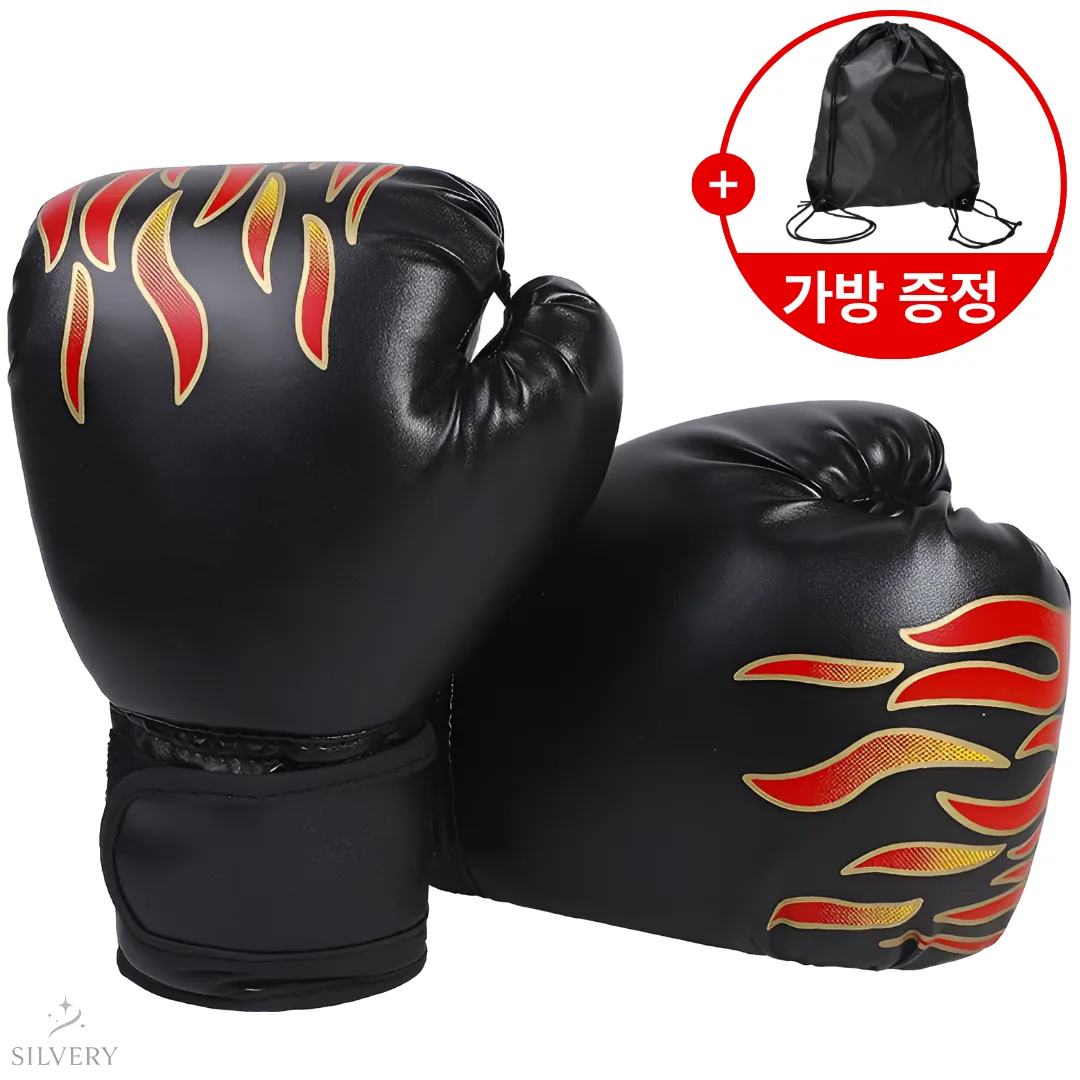 실버리 복싱 권투 글러브 가격 추이 실버리 복싱 권투 글러브 - 최저가 8,900원