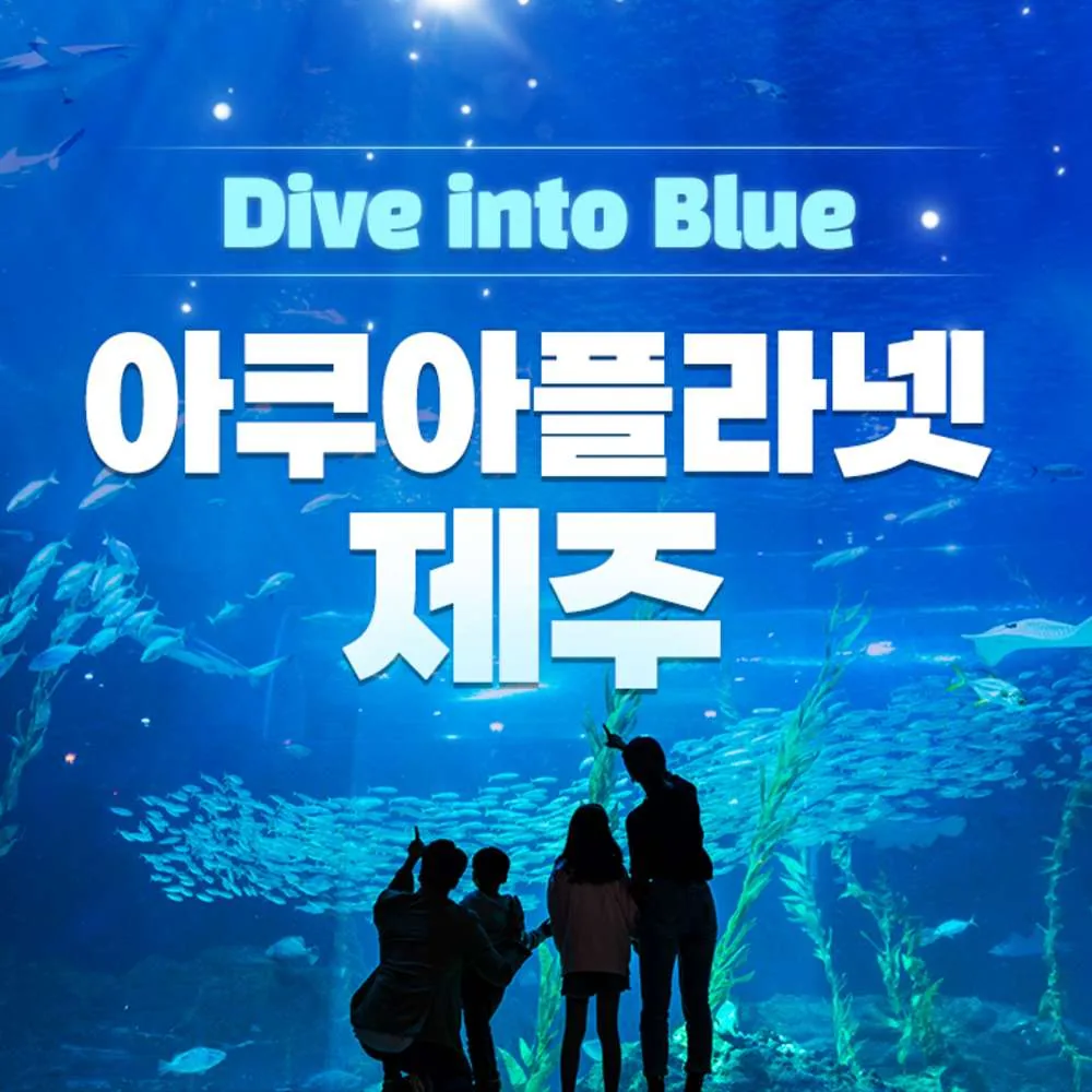 1인 입장권 가격 추이 1인 입장권 - 최저가 45,500원