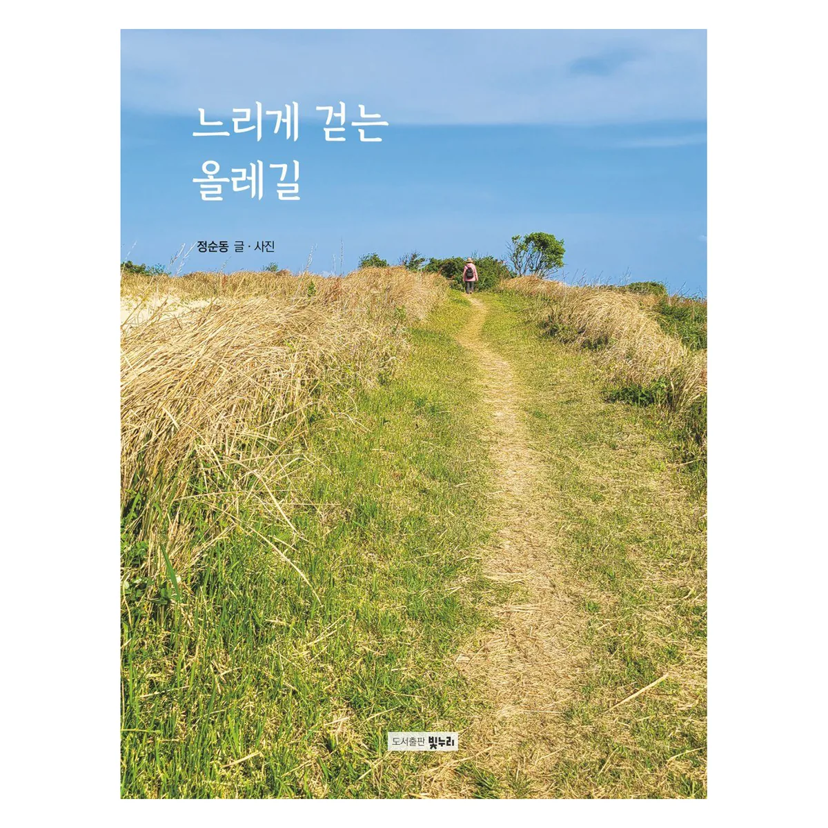 느리게 걷는 올레길 가격 추이 느리게 걷는 올레길 - 최저가 22,500원