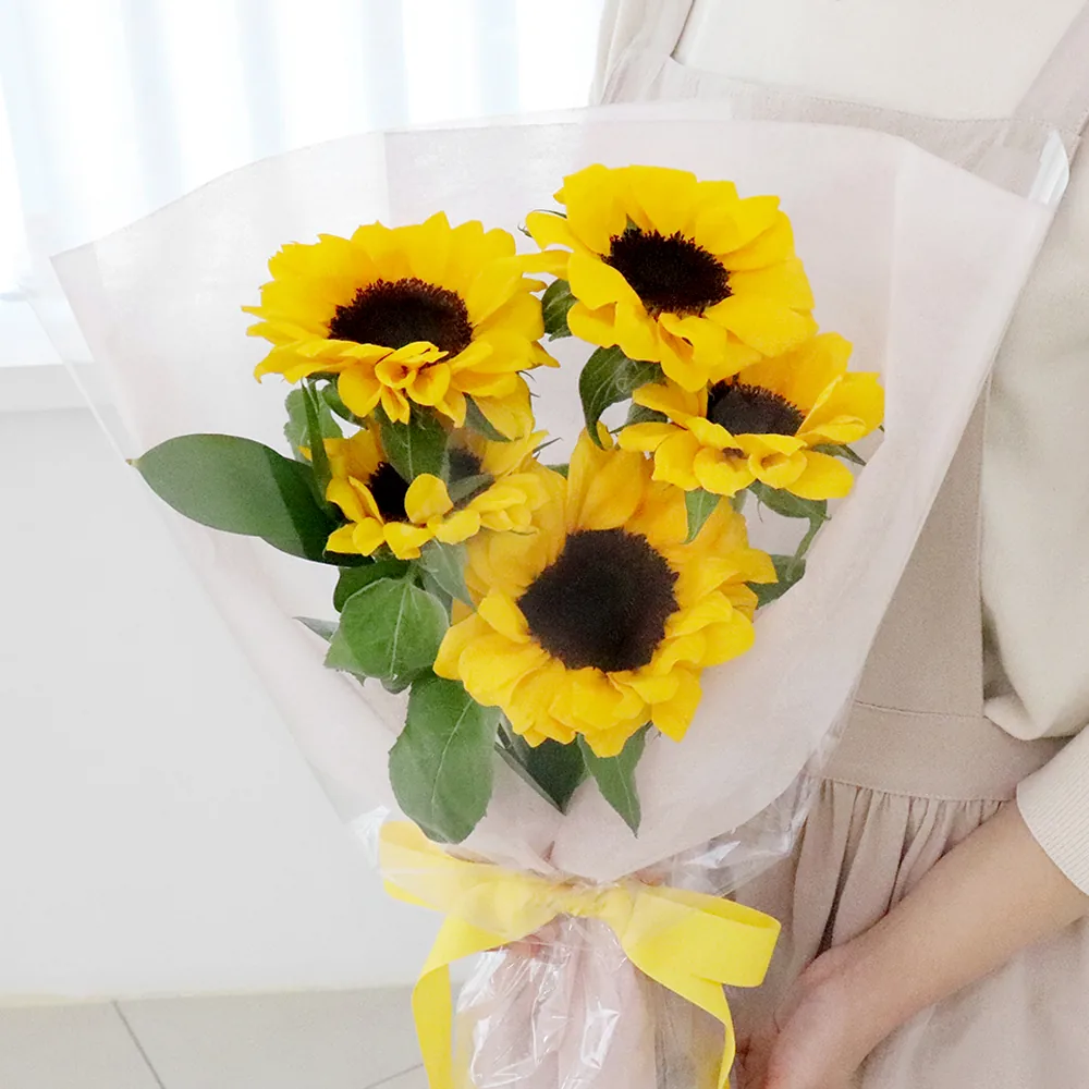 코코도르팜 생화 해바라기 꽃다발 5대 가격 추이 코코도르팜 생화 해바라기 꽃다발 5대 - 최저가 27,900원