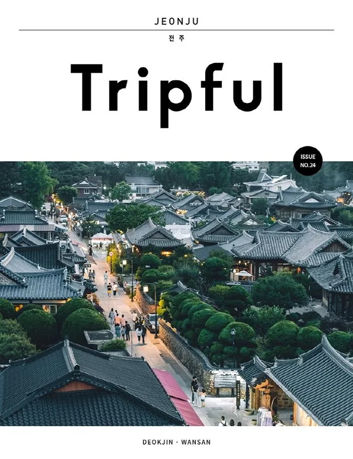 Tripful(트립풀) 전주:덕진, 완산 가격 추이 Tripful(트립풀) 전주:덕진, 완산 - 최저가 13,500원
