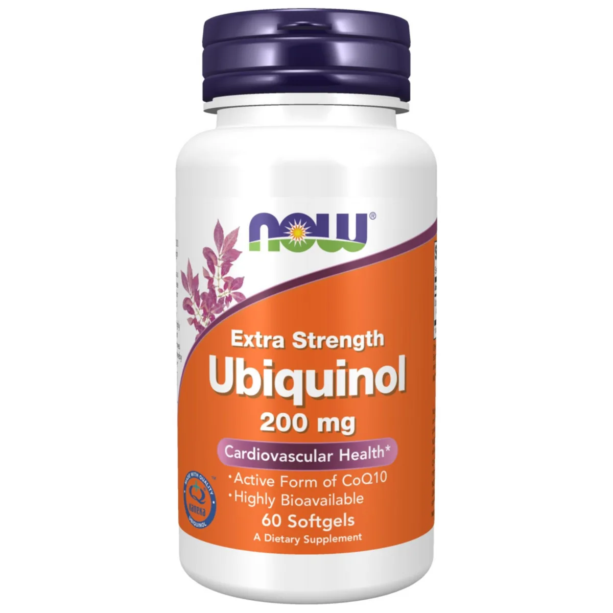 나우푸드 유비퀴놀 200mg 소프트젤 가격 추이 나우푸드 유비퀴놀 200mg 소프트젤 - 최저가 61,450원